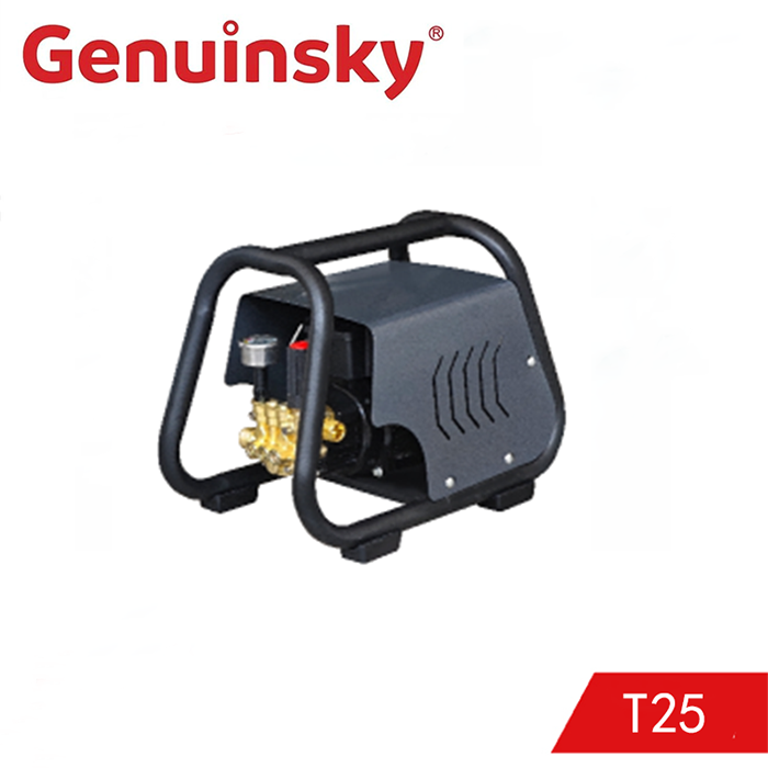 Мойка высокого давления T25